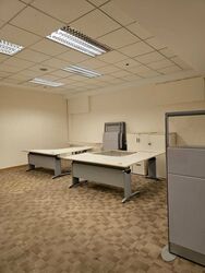 Tan Chong Tower (D7), Office #520290521
